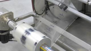 Continuous Motion High Speed Bagging Machine [upl. by Bouchier]