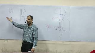 Clinical Neurology  Lec 1 Introduction  Dr Mahmoud Allam [upl. by Roseline]