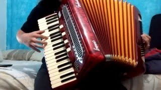 Irish Rebel Songs Set on the accordion [upl. by Areic]