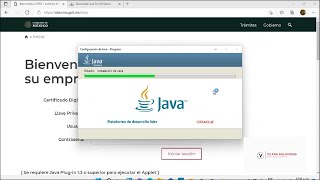 Configuración JAVA  Acceso IDSE 2021 [upl. by Gaven]