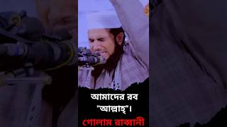 আমাদের রব আল্লাহ্  gulam rabbani waz 2024  waz islamic islamicshorts mdallabout [upl. by Childs]