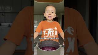 Jugo de Uva 🍇 cocinandoconmatthew jugonatural uva saludable batidosaludable smoothie fyp fy [upl. by Jonathan]