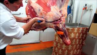 Part 1  How to bone a Forequarter of beef demonstration by Master Butcher Michael Cross [upl. by Abihsat]