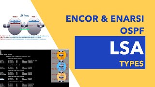 OSPF LSA Types Simplified Seriously [upl. by Narmi308]