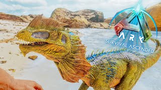 ARK SURVIVAL ASCENDED  Minha Primeira GAMEPLAY [upl. by Asserrac]