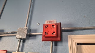 Notifier Fire Alarm System Test 23 Wheelock 7002T24 [upl. by Ecnedac]