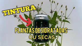 Como Fazer TINTURA com PLANTAS DESIDRATADAS OU SECAS [upl. by Drandell]