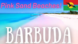 Barbuda Top Attractions amp Best Things To Do 2024 Travel Guide [upl. by Afira67]