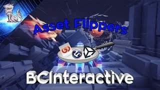 Asset Flippers BCInteractive [upl. by Seton]