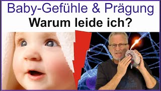 BabyPrägungszeit Die Ursache fast aller psychischen Störungen Das Reiskorngehirn im Baby [upl. by Paloma123]