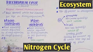 Introduction to ecosystem  Class 12 Biology [upl. by Branch]