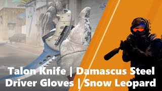 CS2 Talon Knife  Damascus Steel l Factory New  Driver Gloves  Snow Leopard Field Tested [upl. by Murtagh]