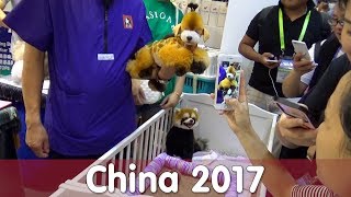 Reptil TV  Folge 107 – China 2017 [upl. by Teplitz]