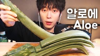 껍질째알로에 ASMR｜아삭아삭 리얼사운드 먹방 리뷰 ｜ASMR ALOE VERA CHALLENGE Eating sounds ASMR SIO 시오 [upl. by Sheryl]