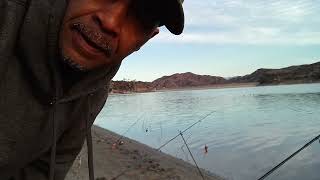 Irvine Lake with fishy fishy Good Day 👍 fishing lake nature travel fun fishin trout love [upl. by Breeze287]