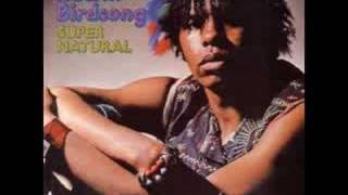 Edwin Birdsong  Rising Sign FunkyClimax 1973 [upl. by Dnalhsa553]