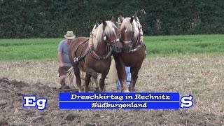 Dreschkirtag in Rechnitz  Südburgenland [upl. by Jarad]