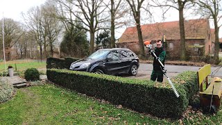 Kustorez Trimming Boxwood and Ivy in the front yard [upl. by Eiznikcm]