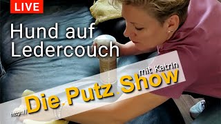 Hund auf Ledercouch  DiePutzShow mit Katrin [upl. by Zechariah]