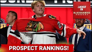 Chicago Blackhawks Midseason Prospect Rankings Part 1  Finishing Up Midseason Grades [upl. by Joelly]