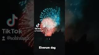 Elverum dag [upl. by Noitsuj]