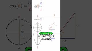 COSENO y su Simetría PAR Lo Que Nunca Te Contaron [upl. by Bronson]