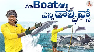 మా Boat చుట్టు ఎన్ని డాల్ఫిన్సో 🐬 Local Boi Nani [upl. by Gambrell822]