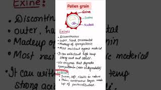 shortpollen grainexineintinesexual reproduction in flowering plantsneetncert [upl. by Mcnutt954]