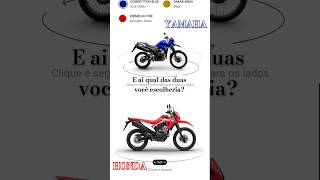 Enduro Mania  Yamaha XTZ vs Honda Tornado  2016 [upl. by Naharba]