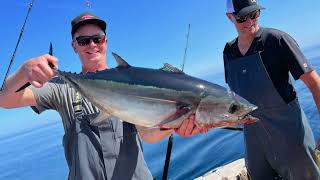 2023 Albacore Tuna Highlights [upl. by Phillipp518]