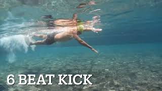 2–64 Beat Kick Freestyle Swimming [upl. by Temme406]