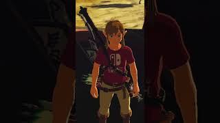 How to get INFINITE RUPEES in Breath of the Wild TLoZ BotW Glitch [upl. by Enautna]