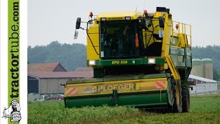 Erbsenernte in Rhede und Borken durch LU Laarakker mit Ploeger JD6150R und Dezeure Pea harvest [upl. by Avika]