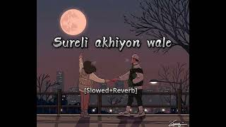 Surili Akhiyon Wale SlowedReverb Rahat Fateh Ali Khan  Suzanne DMello [upl. by Cyndie]