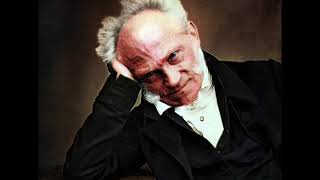 Arthur Schopenhauer on Death [upl. by Ynej50]