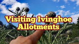 Visiting Ivinghoe Allotments In Chiltern Hills Hertfordshire Allotment Life [upl. by Harrietta]