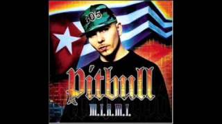 Pitbull  Hustlers With Drawal [upl. by Healion]