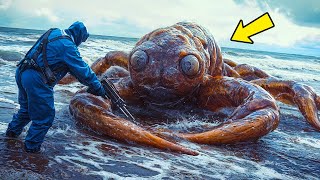 Ancient Creature Washes Up After Thousands of Years — Sailors Face the Scariest Ocean Mystery [upl. by Adler771]