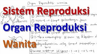 Organ Reproduksi Wanita [upl. by Germayne]