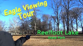 Reelfoot Lake State ParkEagle Tour [upl. by Cariotta]