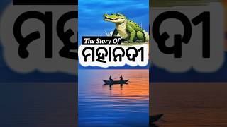 The Story Of Mahanadi  Mahanadi Odisha। mahanadi cuttack chilika bayofbengal viral trending [upl. by Alek386]