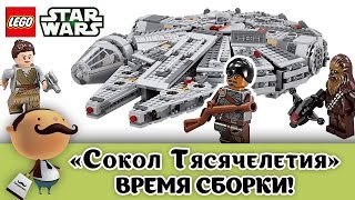 New 2015 LEGO Star Wars 75105 Millennium Falcon  Speed Build [upl. by Jarlath415]