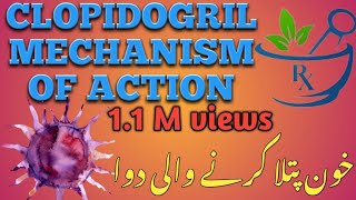 Clopidogril mechanism of action animation clopidogrel mechanism of action in hindipharmacology [upl. by Efron694]