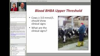 Diagnosing and Monitoring Ketosis in Dairy Herds [upl. by Greff]