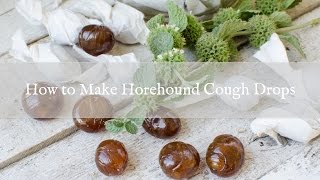 How to Make Horehound Cough Drops [upl. by Yran]