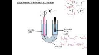 DSE07  16 Electrolysis of Brine with Mercury Electrode [upl. by Nunci]