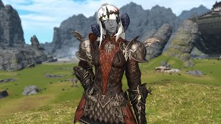 Why Monster Hunters Rathalos Armor Design Differs in the FFXIV Online Collaboration [upl. by Valli]