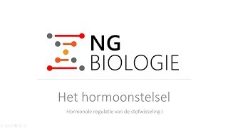 Het hormoonstelsel  hormonale regulatie van de stofwisseling I  HAVOVWO [upl. by Eerb]