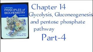 Payoff Phase of Glycolysis Chapter 14  part4 in Urdu Lehninger principles of biochemistry [upl. by Tnafni781]