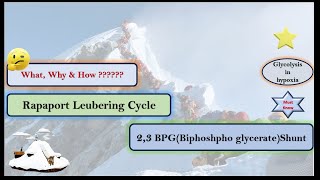 What Why amp How of Rapaport Leubering Cycle or 23 BPG Shunt Pathway [upl. by Eilyac]